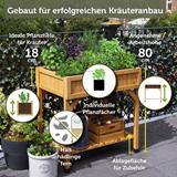 VegTrug® Kräuterhochbeet  78 x 58 x 80 cm