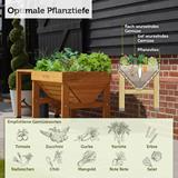 VegTrug® Hochbeet Klassik 1m, 103x76x80 cm 210l