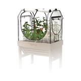 VegTrug® Gewächshausaufsatz