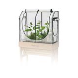 VegTrug® Gewächshausaufsatz