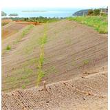 Erosionsschutzmatte Kokos Netz 2,0x50m 400 g/m²
