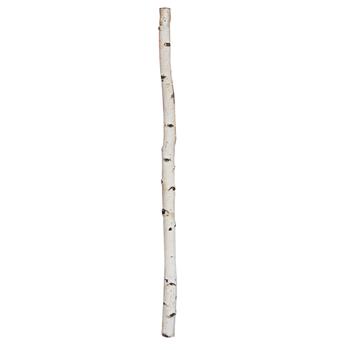 Birkenstamm Dekoration