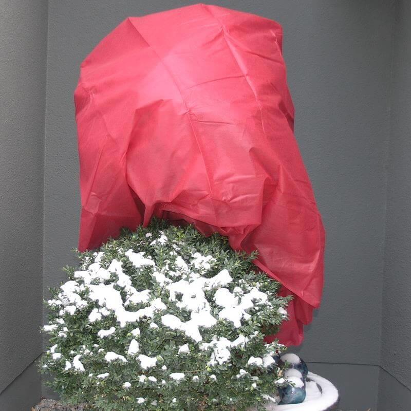 Rot eingefärbtes Wintervlies als Winterschutz vor Pflanzen im Winter.